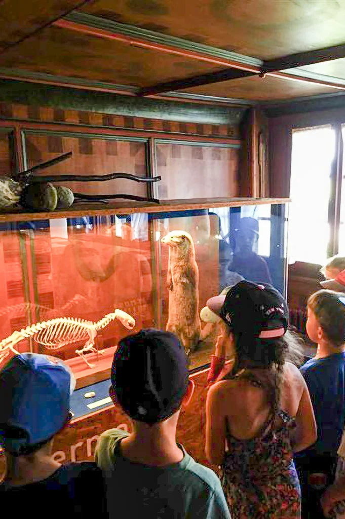 Ausstellungseröffnung Fischotter – Dürstelerhaus Ottikon Ausstellungseröffnung Fischotter – Dürstelerhaus Ottikon