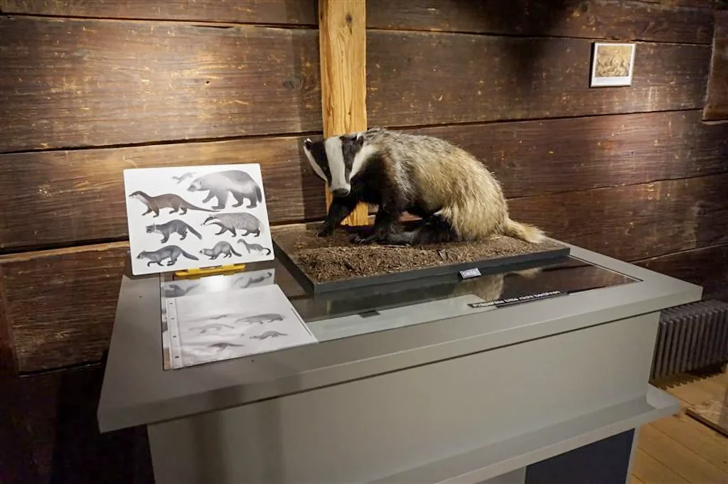 Fischotter-Ausstellung im Dürstelerhaus Eröffnung der Fischotter-Ausstellung beim Dürstelerhaus in Ottikon