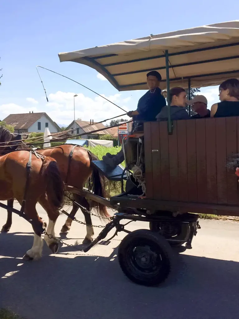 Dürstelerhaus empfängt Gemeindeverwaltung Gossau Mitarbeitende der Gemeindeverwaltung Gossau ZH bei Führung im Ortsmuseum