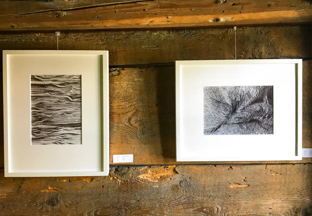 Schwarz-weiss Zeichnungen und farbige Acrylbilder in Gossau Schwarz-weiss Zeichnungen und farbige Acrylbilder in Gossau