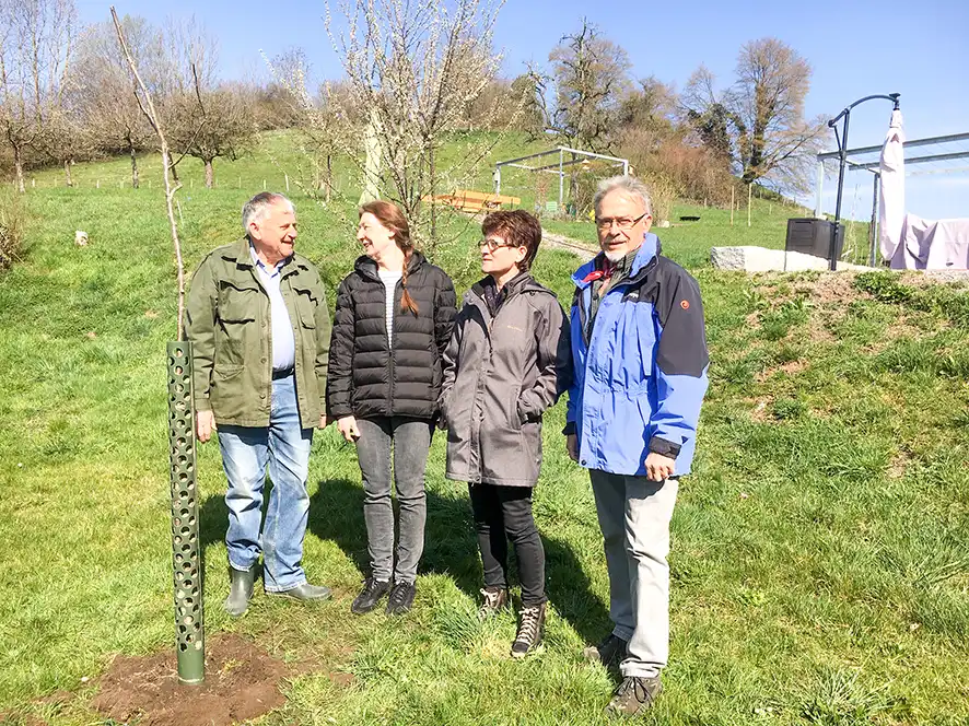 Älter als das Dürstelerhaus – Rosenapfel als Geschenk Mitglieder des Vereins Dürstelerhaus pflanzen einen historischen Rosenapfelbaum