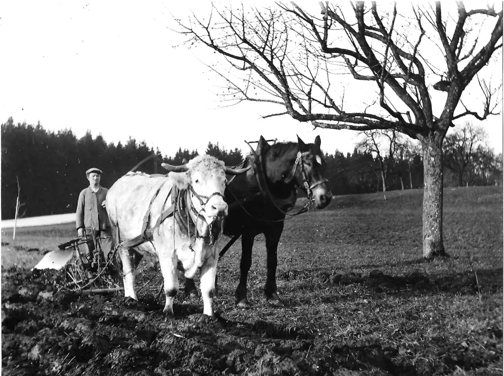 Historische Schwarz-Weiss-Fotos von Bauern, Handwerkern und Gewerbetreibenden in Gossau
