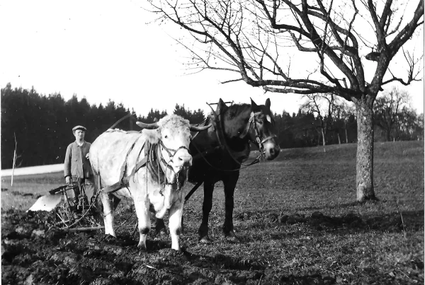 Historische Schwarz-Weiss-Fotos von Bauern, Handwerkern und Gewerbetreibenden in Gossau