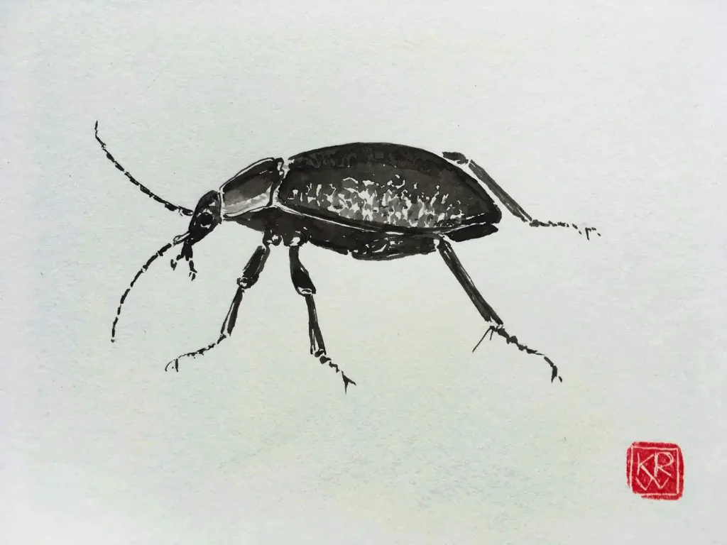 Natur in Aquarell – Werke von Karin Reinhardt-Wolf Ausstellung Aquarelle von Karin Reinhardt-Wolf im Zürcher Oberland