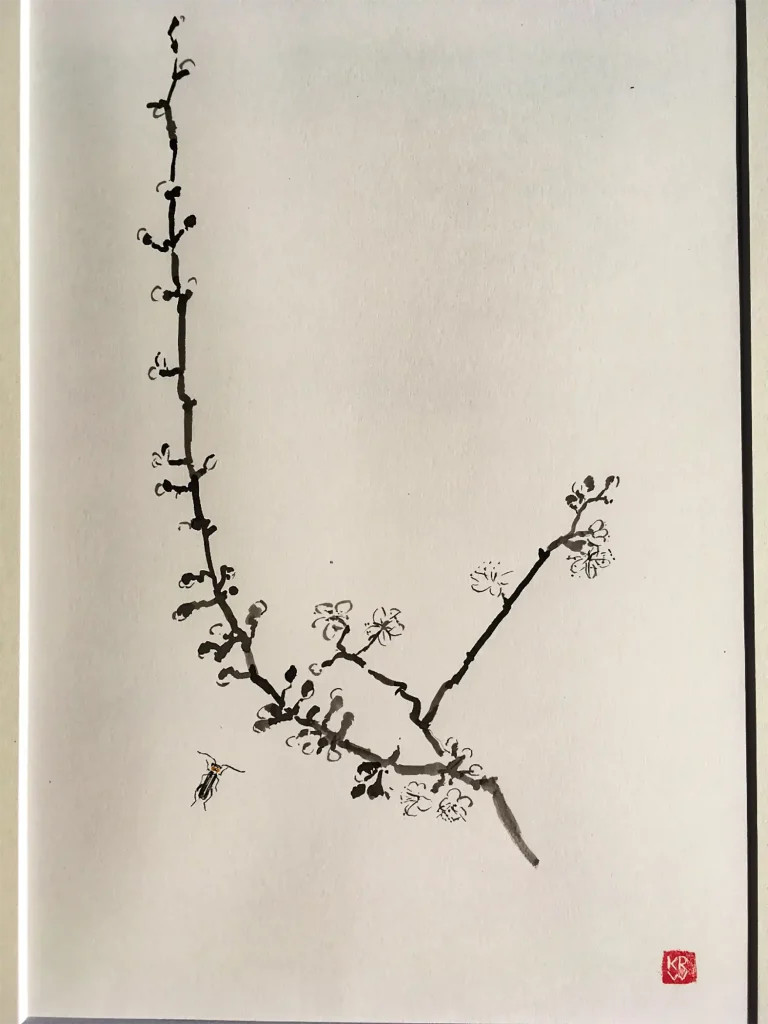 Begegnungen – Aquarellausstellung im Dürstelerhaus Gossau Aquarelle von Karin Reinhardt-Wolf mit Tier- und Pflanzenmotiven