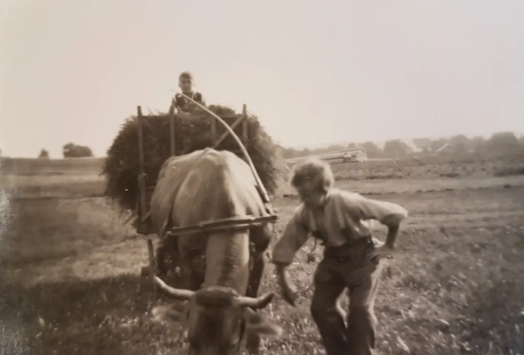 Historische Dokumente und Werke von Jakob Zollinger im Dürstelerhaus