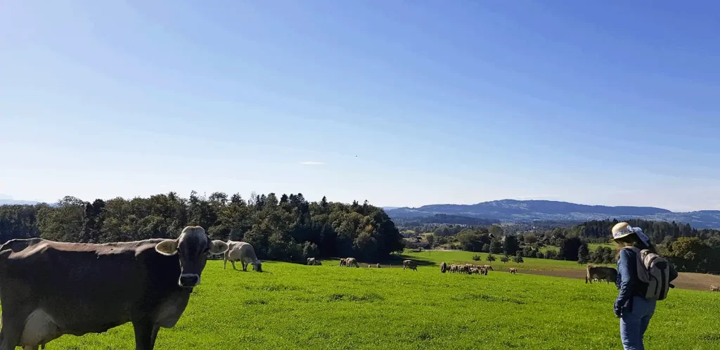 Auf den Spuren Jakob Zollingers – Spaziergang mit Aussicht Teilnehmende des Spaziergangs mit Blick über die Landschaft im Zürcher Oberland